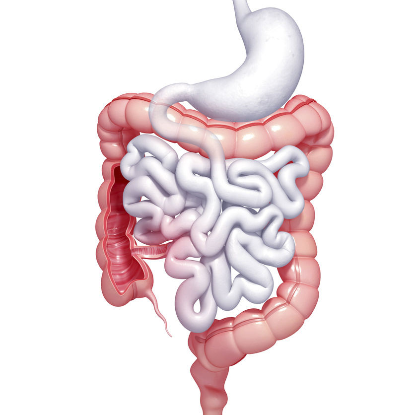 "Healthy large intestines